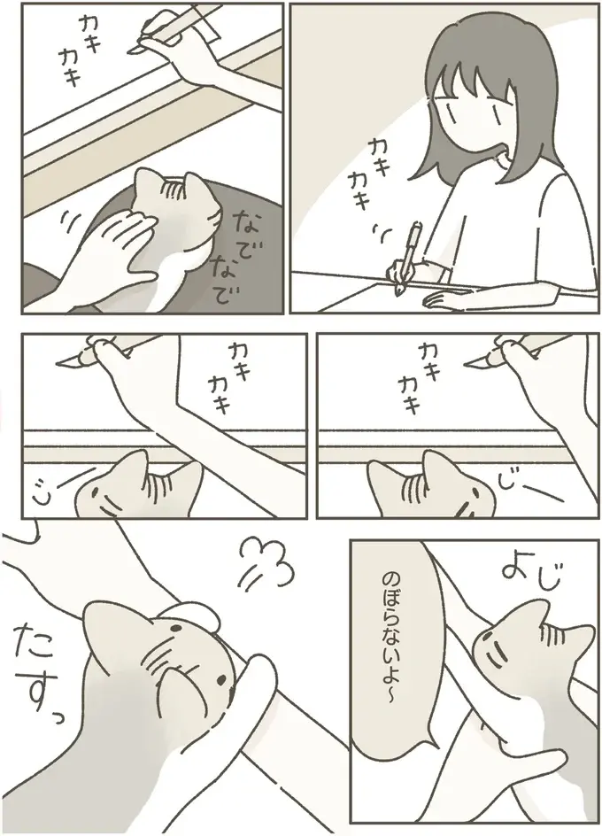 『ねこのつゆちゃんのことで頭がいっぱいです』（11）