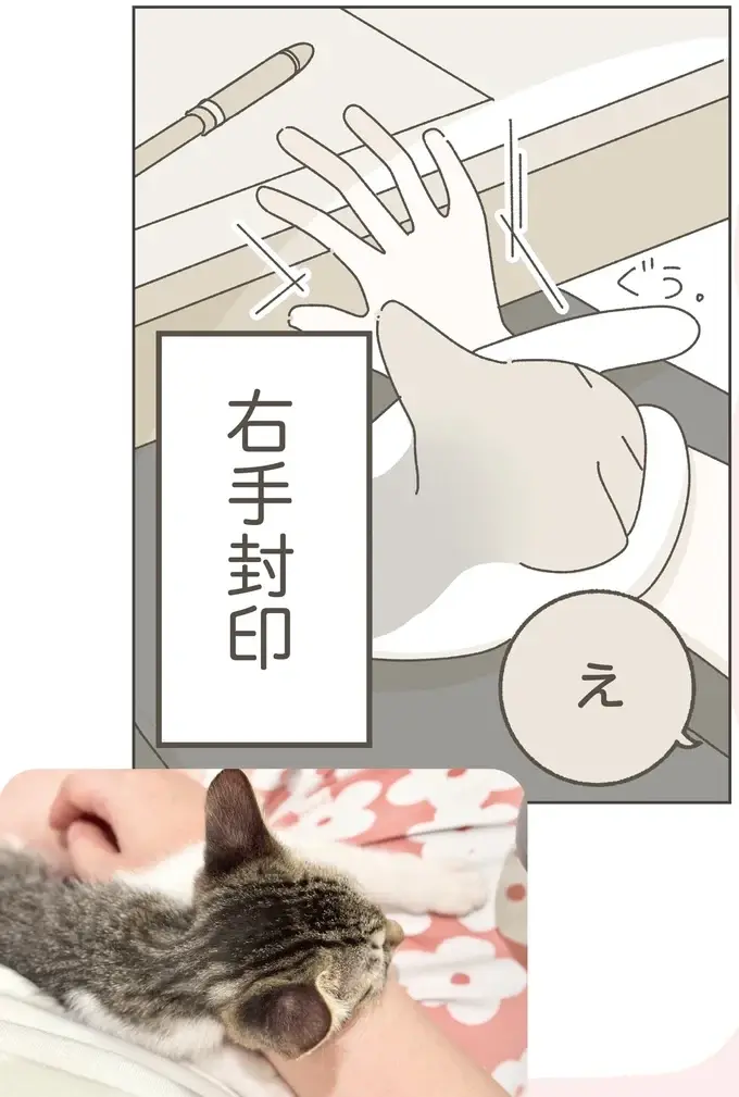 『ねこのつゆちゃんのことで頭がいっぱいです』（12）