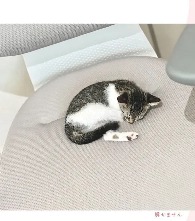 『ねこのつゆちゃんのことで頭がいっぱいです』（14）