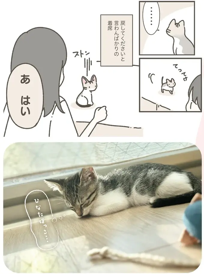 『ねこのつゆちゃんのことで頭がいっぱいです』（16）