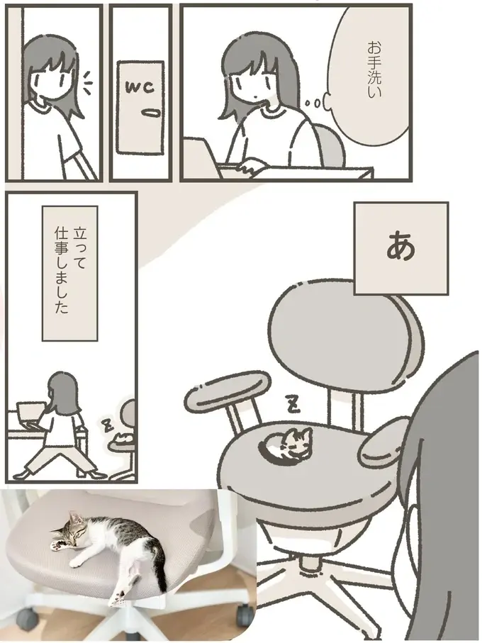 『ねこのつゆちゃんのことで頭がいっぱいです』（17）
