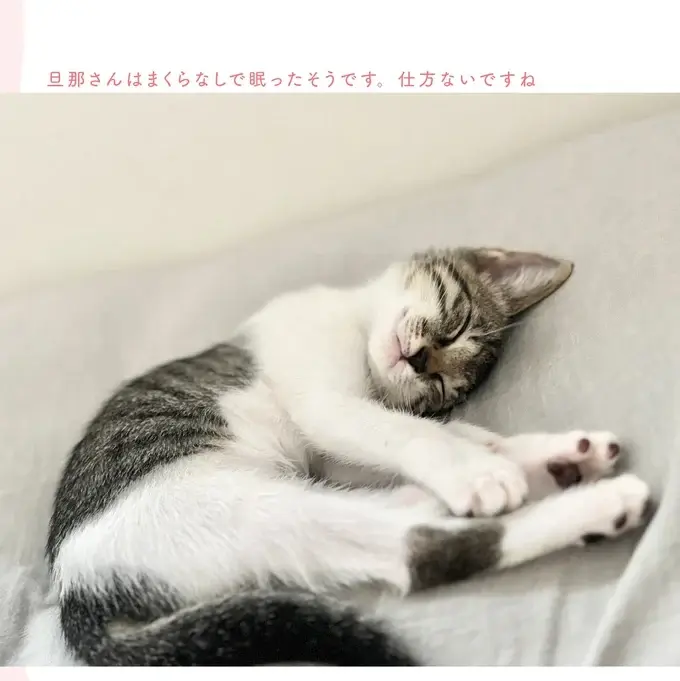 『ねこのつゆちゃんのことで頭がいっぱいです』（21）