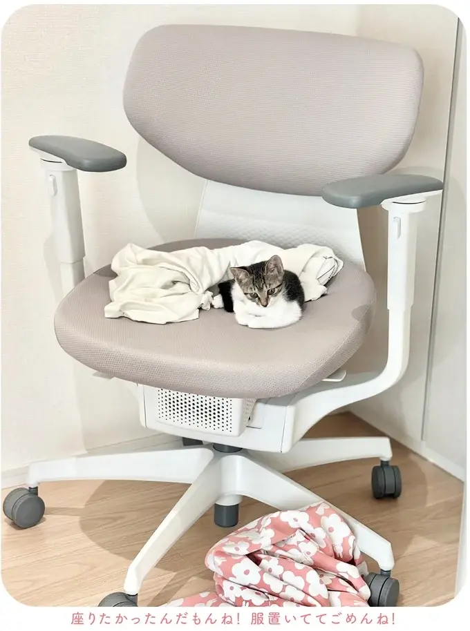 『ねこのつゆちゃんのことで頭がいっぱいです』（25）
