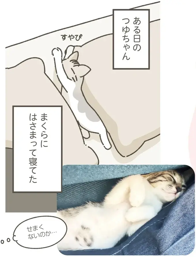 『ねこのつゆちゃんのことで頭がいっぱいです』（26）