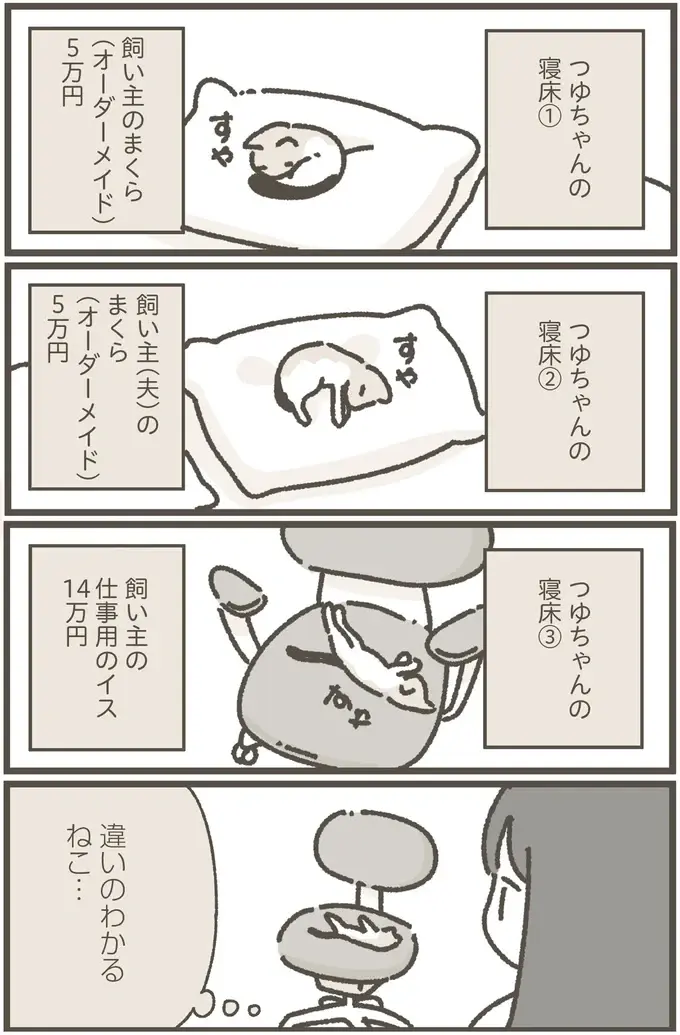 『ねこのつゆちゃんのことで頭がいっぱいです』（27）