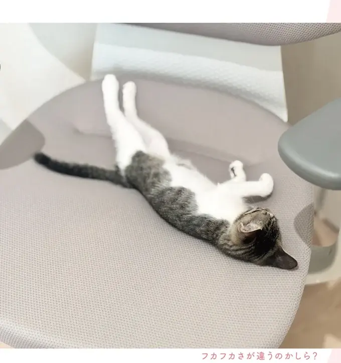 『ねこのつゆちゃんのことで頭がいっぱいです』（28）