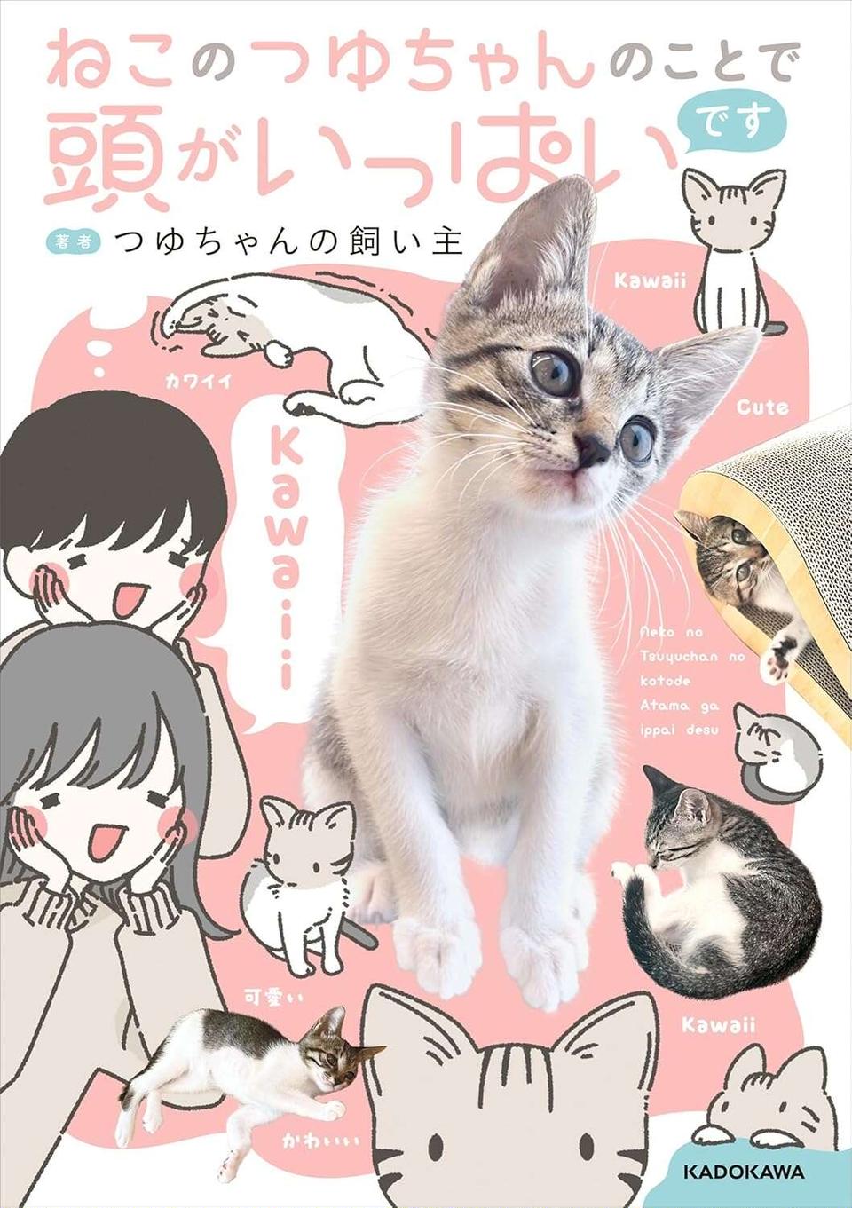 『ねこのつゆちゃんのことで頭がいっぱいです』（29）