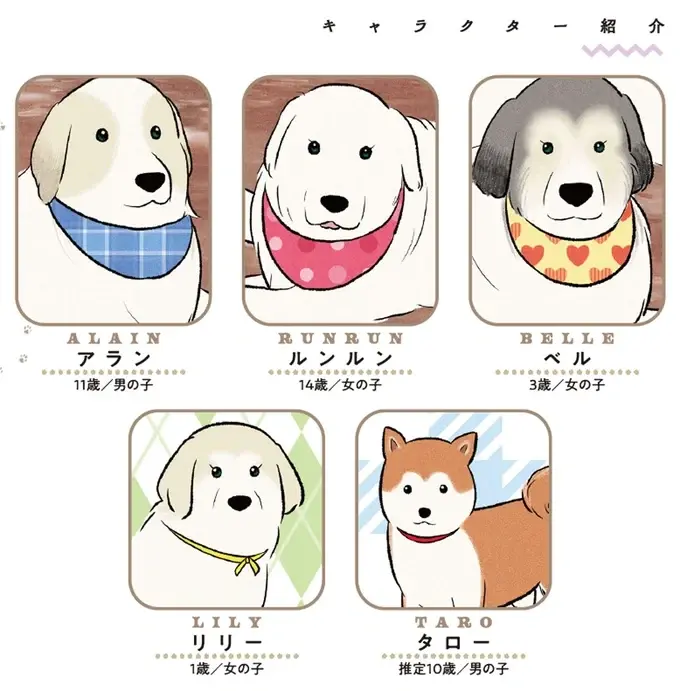 先輩犬のまったりタイムは邪魔しちゃダメ！ 我が家のワンコたちの日常／今日のルンルン（2）