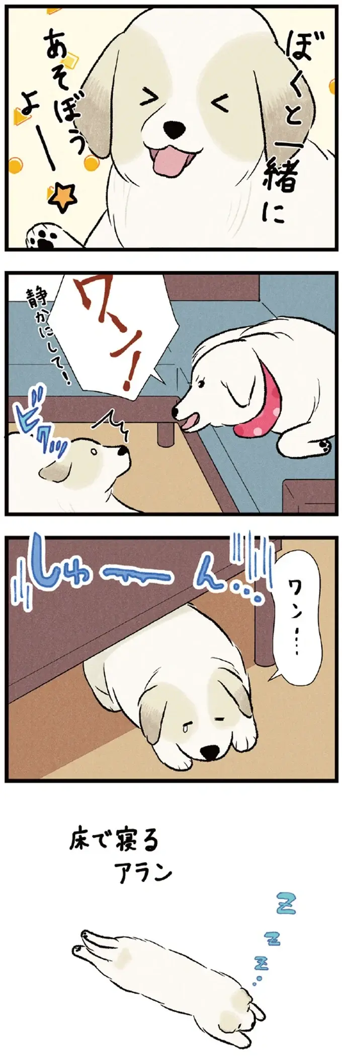 先輩犬のまったりタイムは邪魔しちゃダメ！ 我が家のワンコたちの日常／今日のルンルン（5）