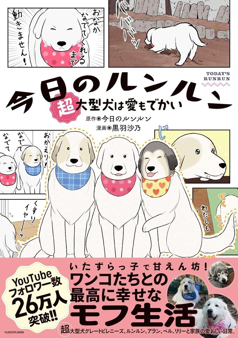 先輩犬のまったりタイムは邪魔しちゃダメ！ 我が家のワンコたちの日常／今日のルンルン（6）