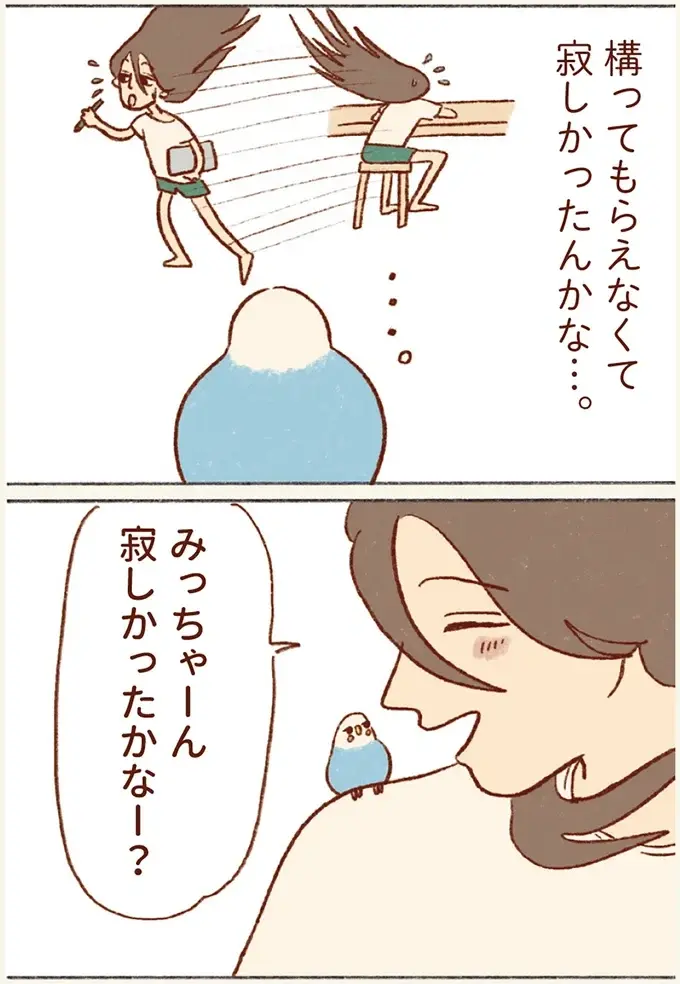仕事中に肩に泊まって来たセキセイインコ。「寂しかった？」と顔を近づけたら...／プジェ日記！ （4）