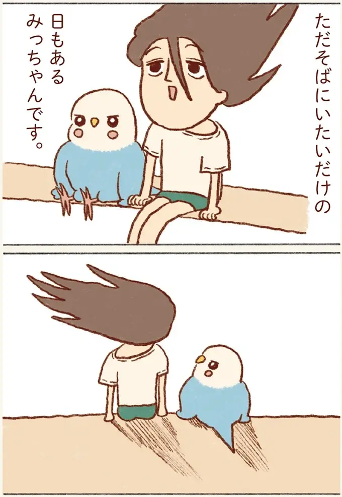仕事中に肩に泊まって来たセキセイインコ。「寂しかった？」と顔を近づけたら...／プジェ日記！ （6）