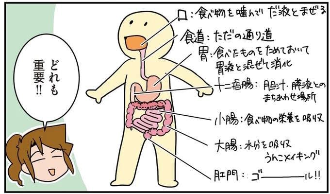 つまりを取って、つないで直して...人間の「ごはんの通り道」に一喜一憂する外科医たち／腐女医の医者道！6（1）