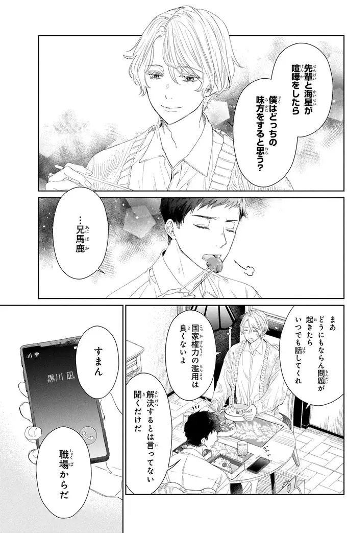 『雨宮兄弟の骨董事件簿 1』（13）