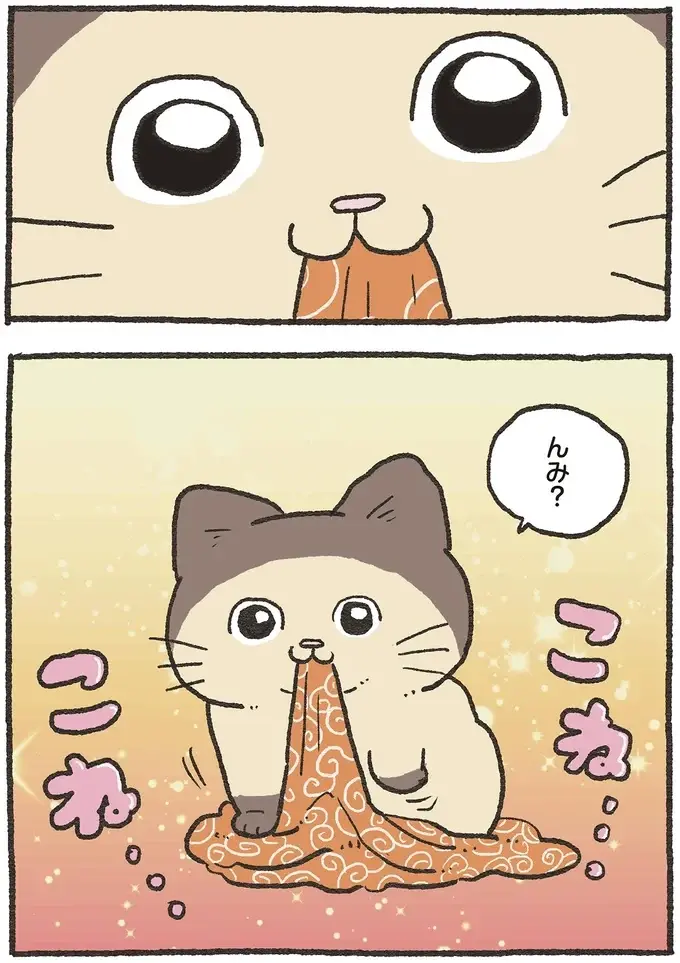 保護された猫と対面。うちの子になってくれるのかドキドキしていたら...運命だ／ねこに転生したおじさん 6（4）