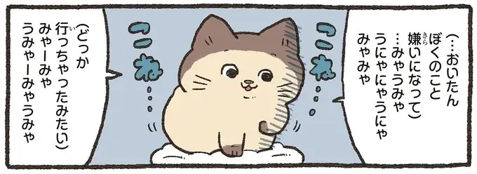 飼い主に嫌われたと泣く猫さん。言葉がわかるねこおじがアドバイスを／ねこに転生したおじさん 6（1）