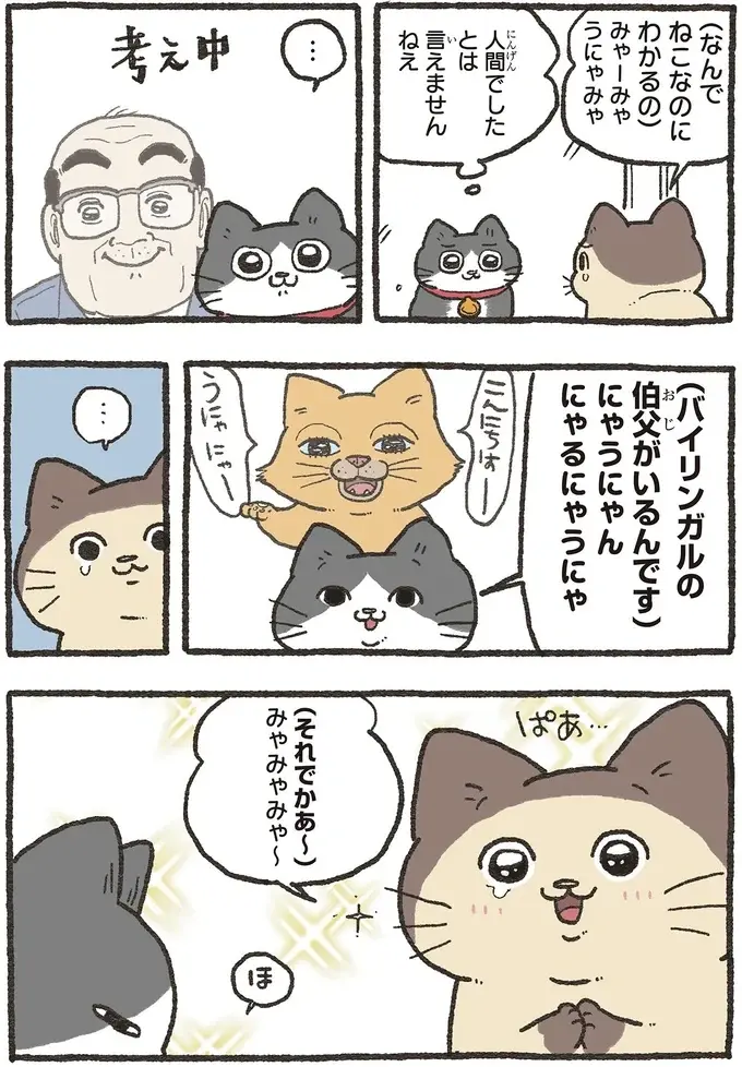 飼い主に嫌われたと泣く猫さん。言葉がわかるねこおじがアドバイスを／ねこに転生したおじさん 6（5）