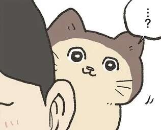 写真を見せあい猫自慢。それを見ていたお隣の猫が焼きもちをやいた理由とは／ねこに転生したおじさん 6（1）