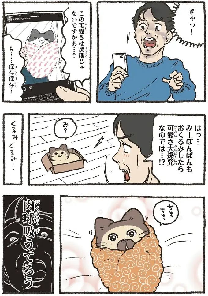 くるむと危険！ 愛猫をおくるみに包んでみたら可愛さが限界突破して...／ねこに転生したおじさん 6（4）