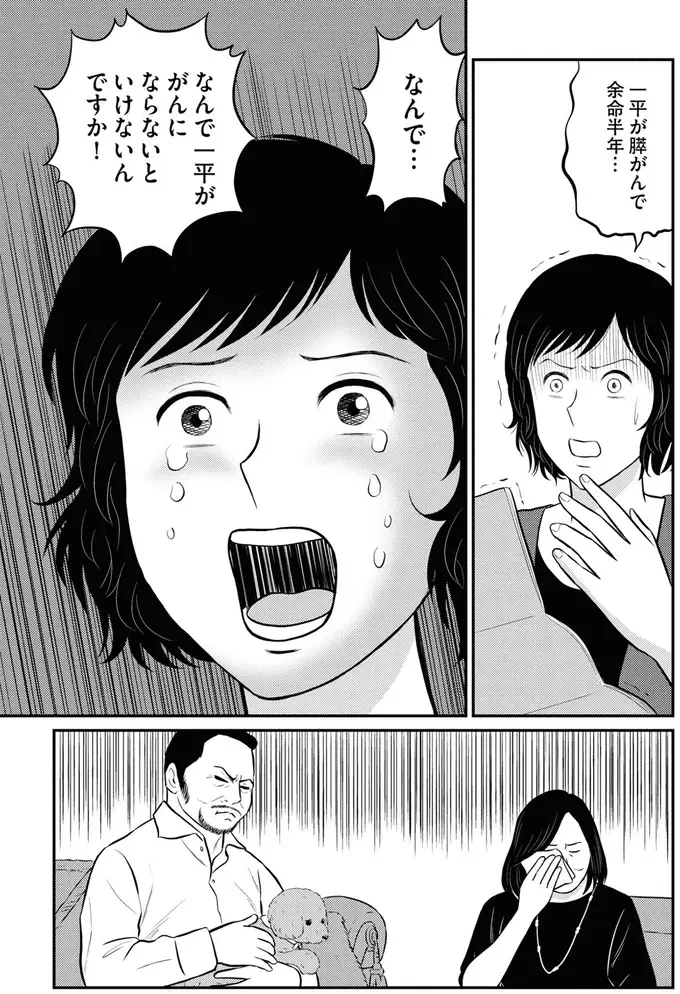 『星のさいごメシ1〜2』（224）