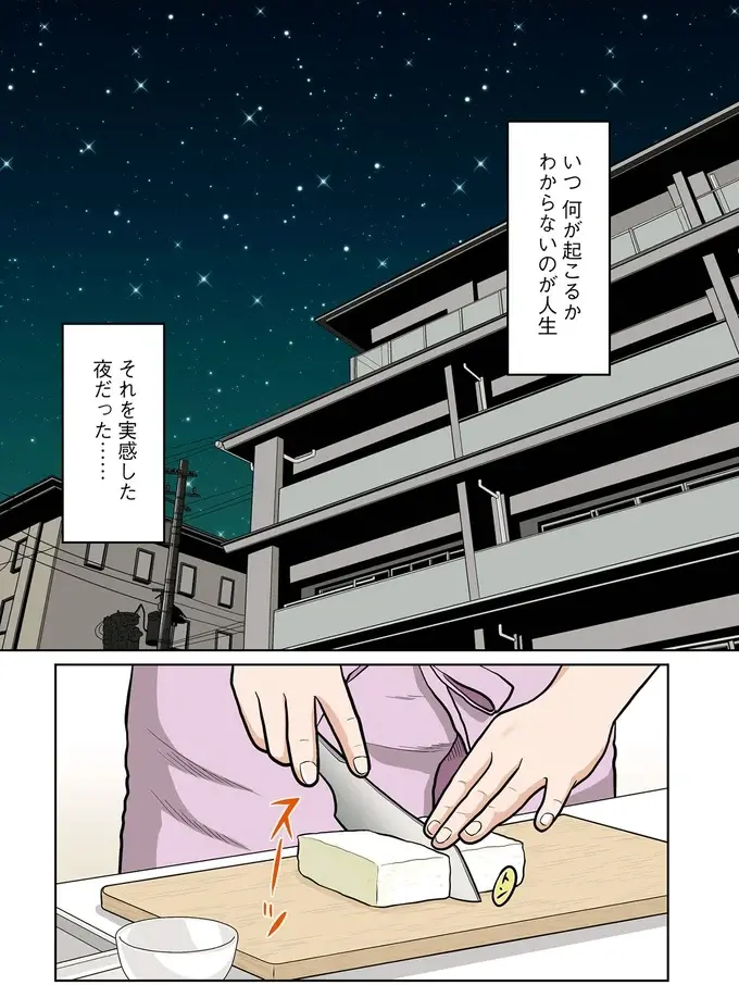 結婚直前の彼氏から「衝撃の告白」。楽しいはずの夕食の時間が絶望に変わり／星のさいごメシ1（2）
