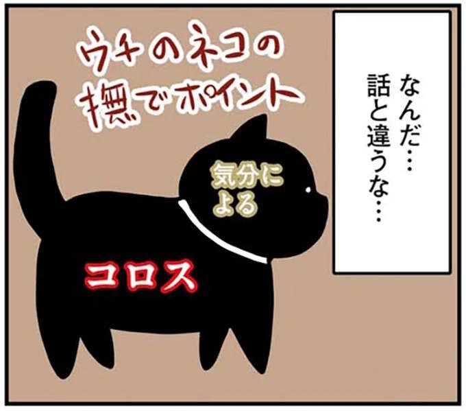 うちの猫の撫でポイントが難しい！ 頭はときどき、それ以外は...え!?／鴻池剛と猫のぽんた 1-3（1）