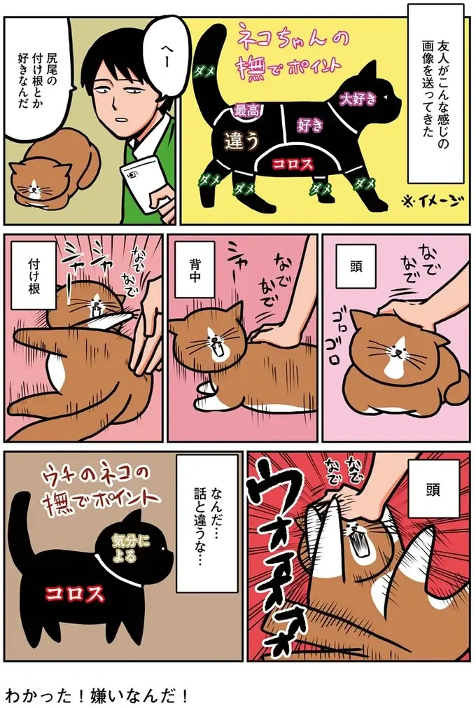 うちの猫の撫でポイントが難しい！ 頭はときどき、それ以外は...え!?／鴻池剛と猫のぽんた 1-3（2）