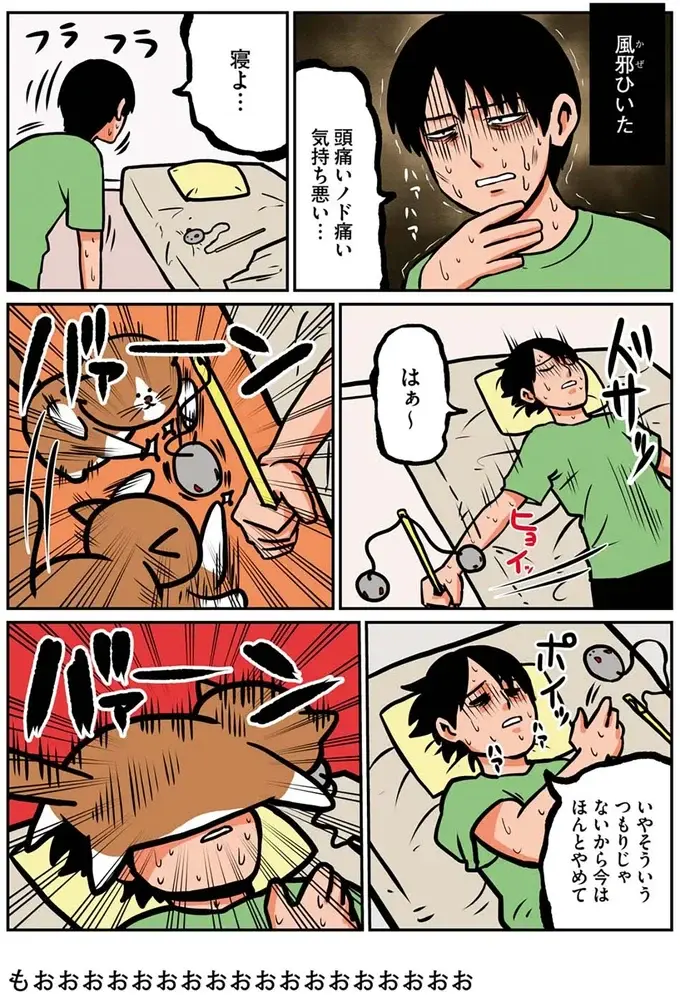 『鴻池剛と猫のぽんた ニャアアアン! 1～4』（3）