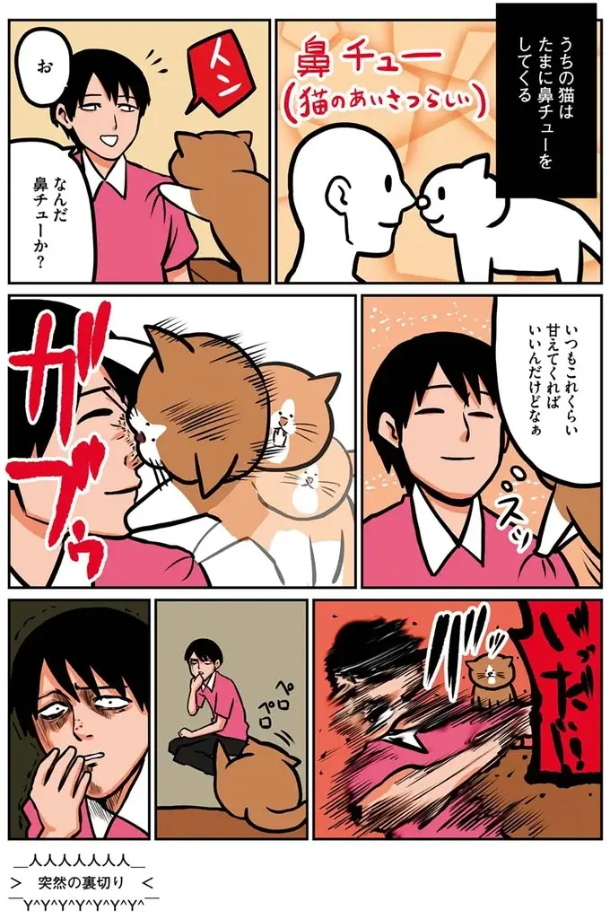 『鴻池剛と猫のぽんた ニャアアアン! 1～4』（6）
