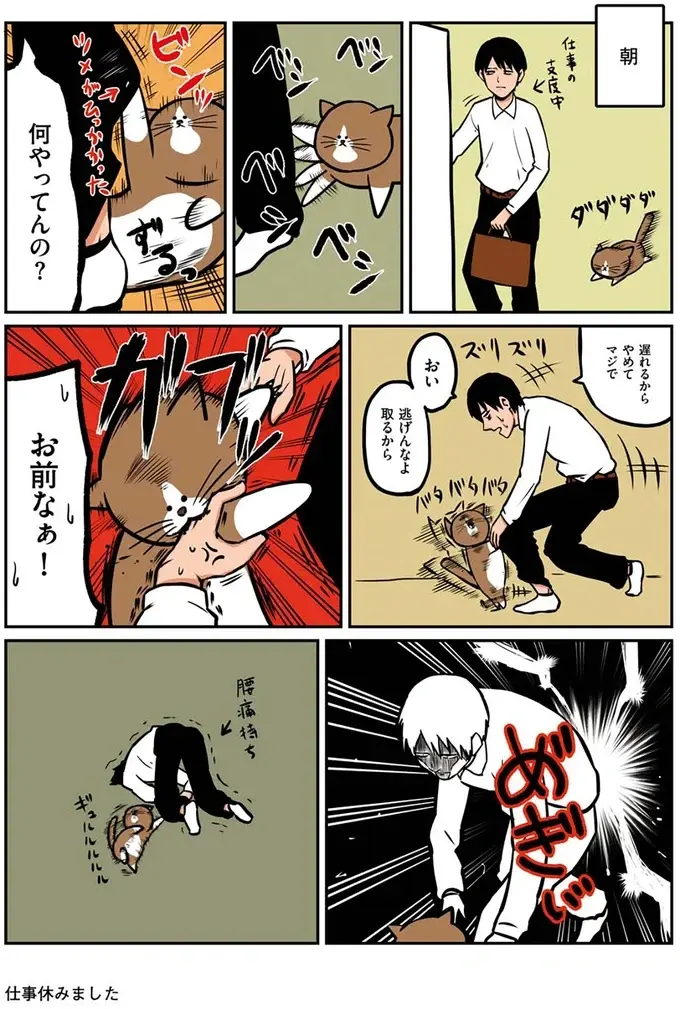 『鴻池剛と猫のぽんた ニャアアアン! 1～4』（7）