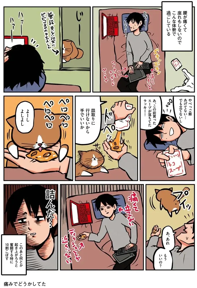 『鴻池剛と猫のぽんた ニャアアアン! 1～4』（8）