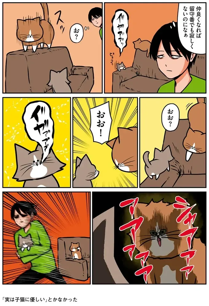 『鴻池剛と猫のぽんた ニャアアアン! 1～4』（11）