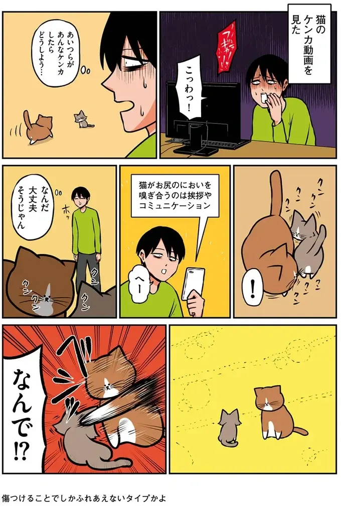 『鴻池剛と猫のぽんた ニャアアアン! 1～4』（12）