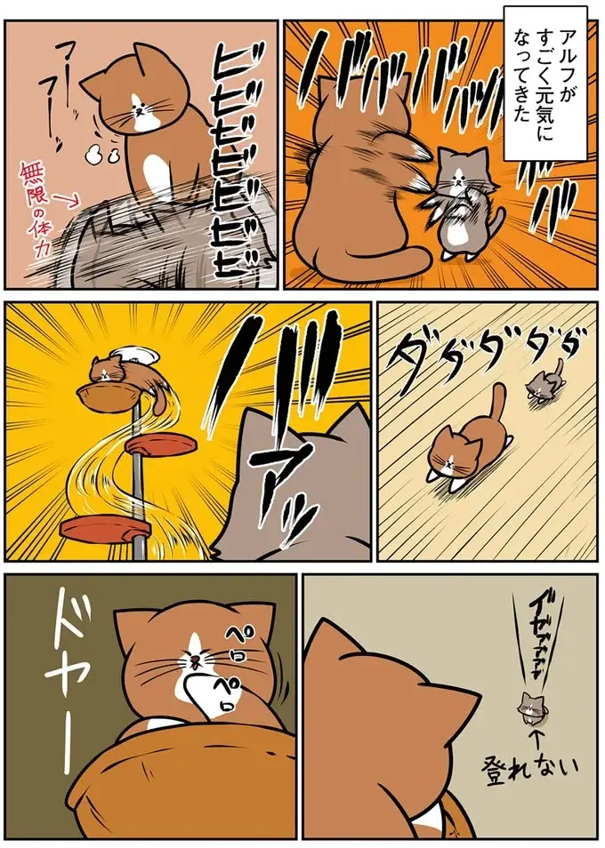 『鴻池剛と猫のぽんた ニャアアアン! 1～4』（13）