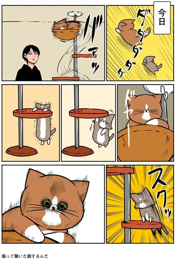 『鴻池剛と猫のぽんた ニャアアアン! 1～4』（14）