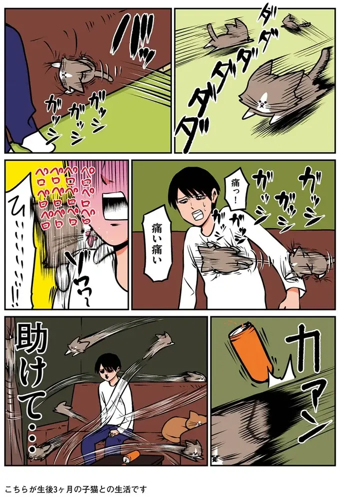 『鴻池剛と猫のぽんた ニャアアアン! 1～4』（15）