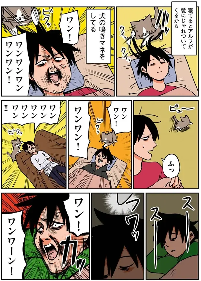 『鴻池剛と猫のぽんた ニャアアアン! 1～4』（17）