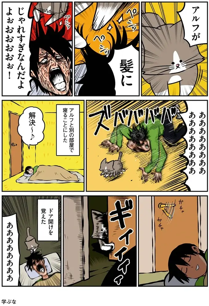 『鴻池剛と猫のぽんた ニャアアアン! 1～4』（20）