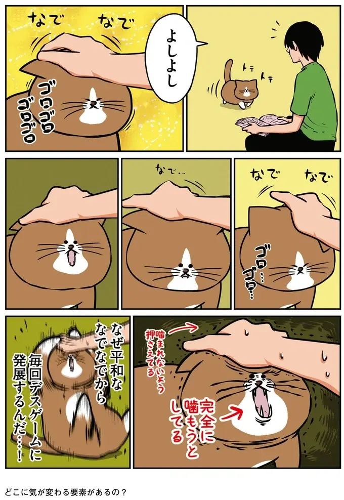 『鴻池剛と猫のぽんた ニャアアアン! 1～4』（21）