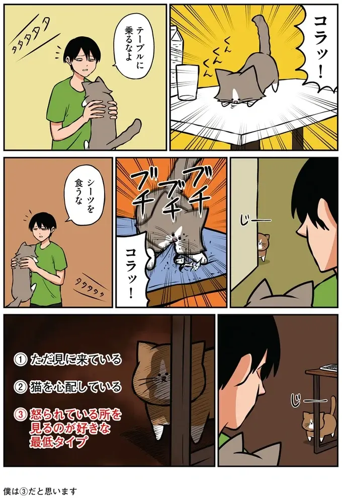 『鴻池剛と猫のぽんた ニャアアアン! 1～4』（27）