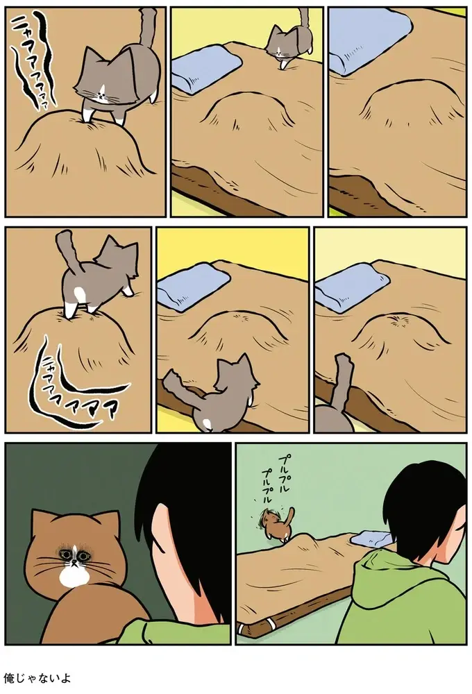 『鴻池剛と猫のぽんた ニャアアアン! 1～4』（28）