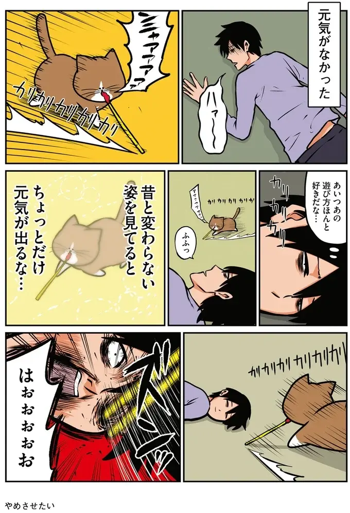 『鴻池剛と猫のぽんた ニャアアアン! 1～4』（29）