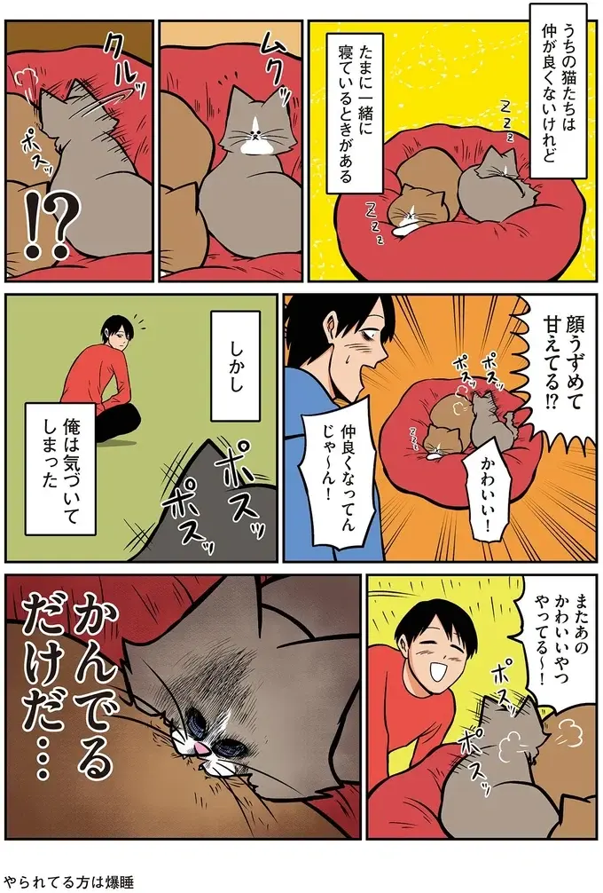 『鴻池剛と猫のぽんた ニャアアアン! 1～4』（32）