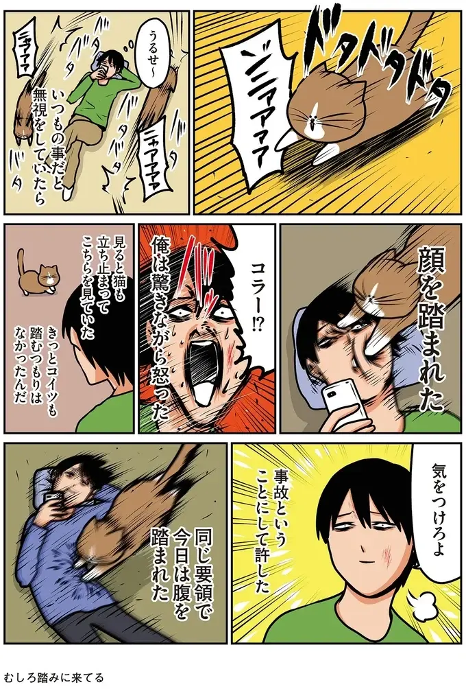 『鴻池剛と猫のぽんた ニャアアアン! 1～4』（36）