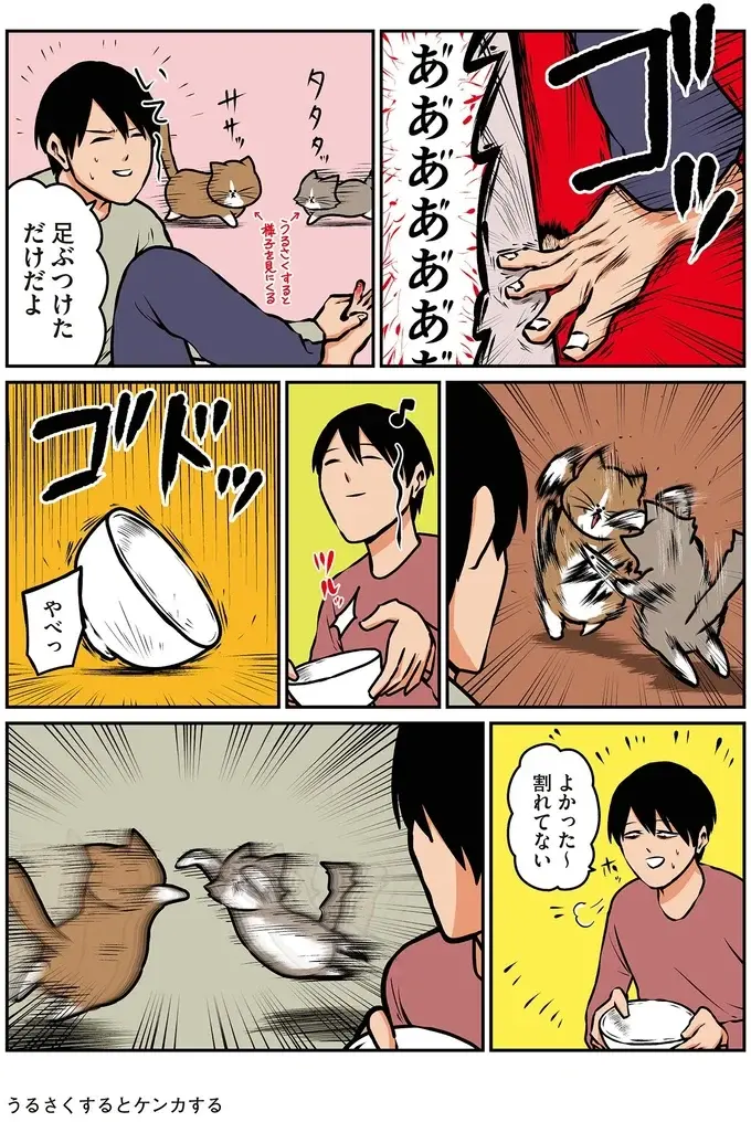 『鴻池剛と猫のぽんた ニャアアアン! 1～4』（38）