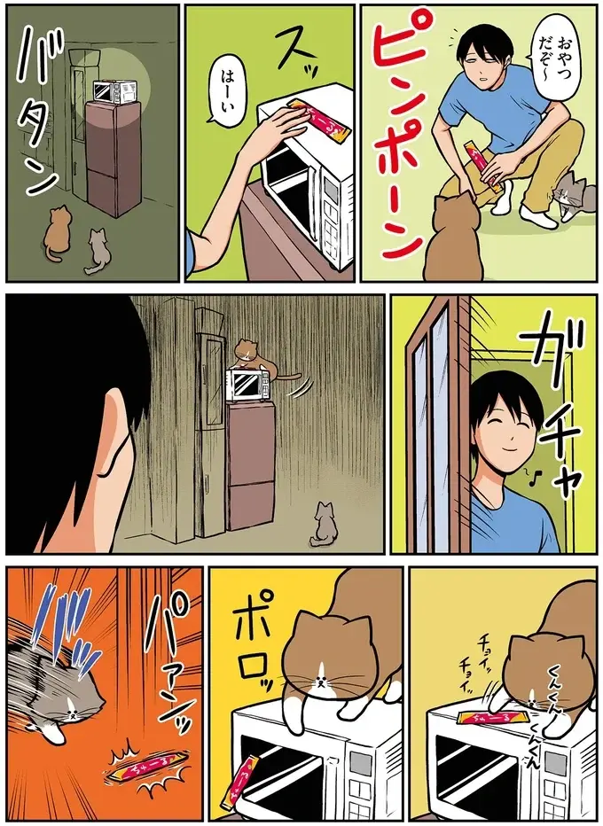 『鴻池剛と猫のぽんた ニャアアアン! 1～4』（44）