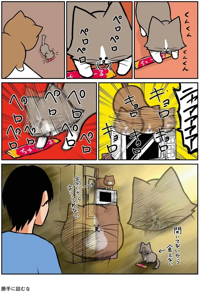 『鴻池剛と猫のぽんた ニャアアアン! 1～4』（45）