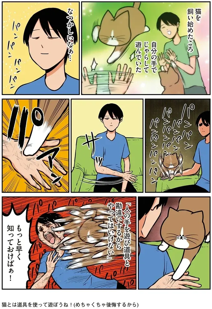 『鴻池剛と猫のぽんた ニャアアアン! 1～4』（46）