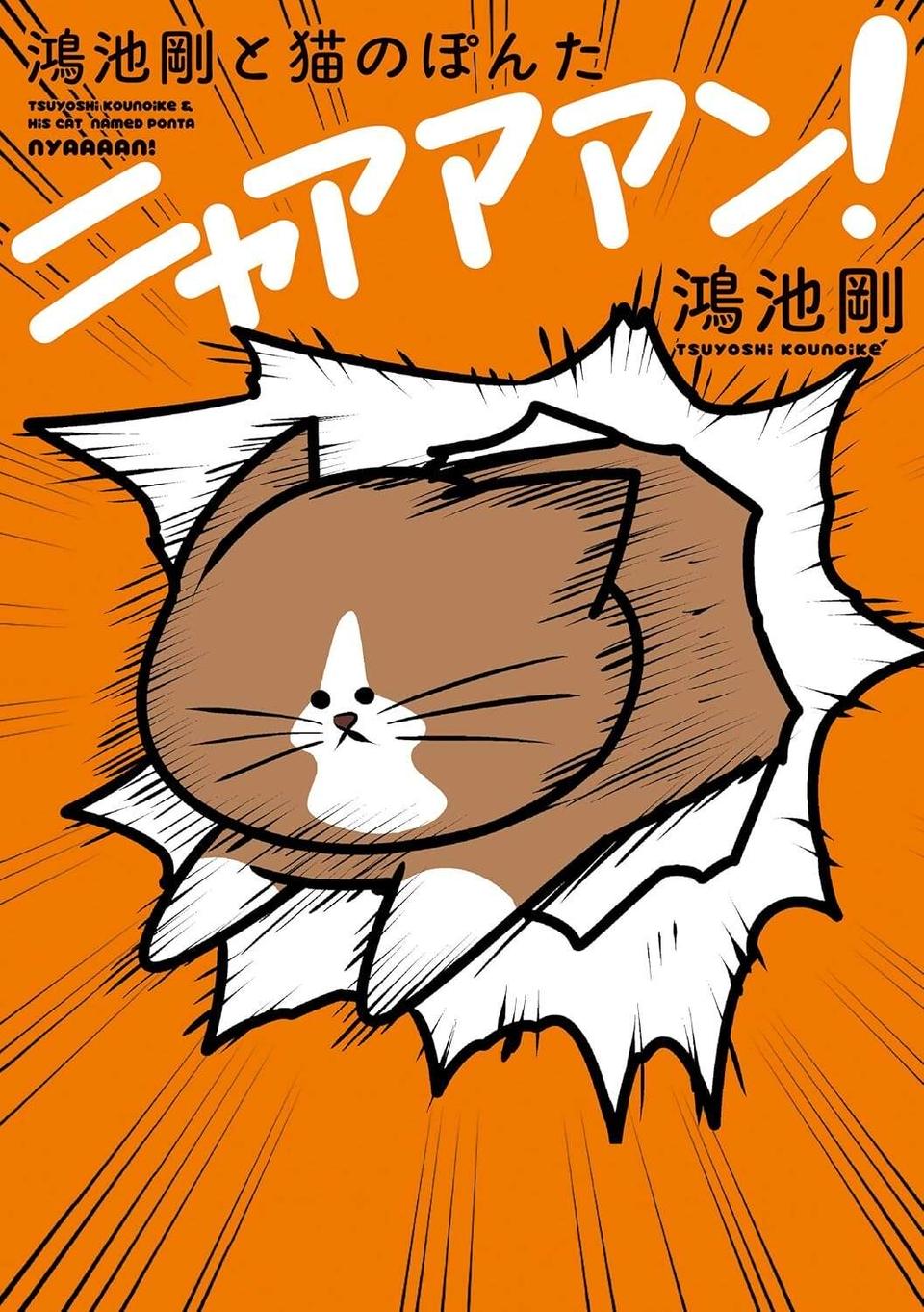 『鴻池剛と猫のぽんた ニャアアアン! 1～4』（48）