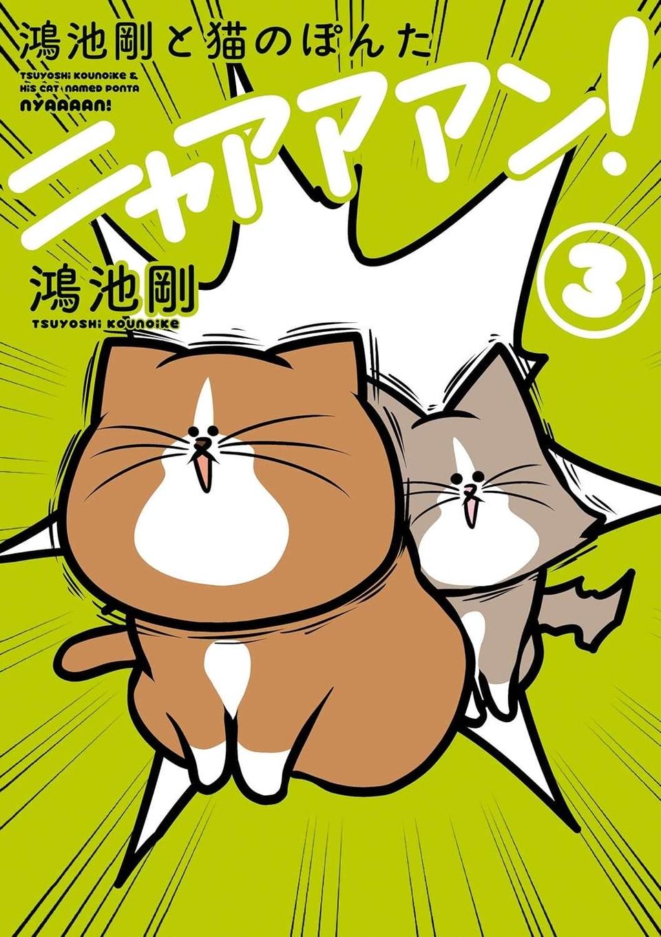 『鴻池剛と猫のぽんた ニャアアアン! 1～4』（50）